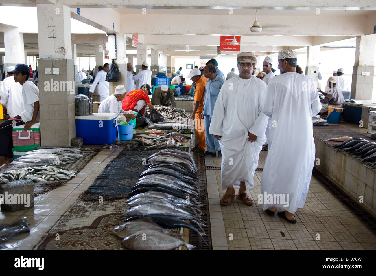 The Fish Market in Muscat Oman Stock Photo Alamy