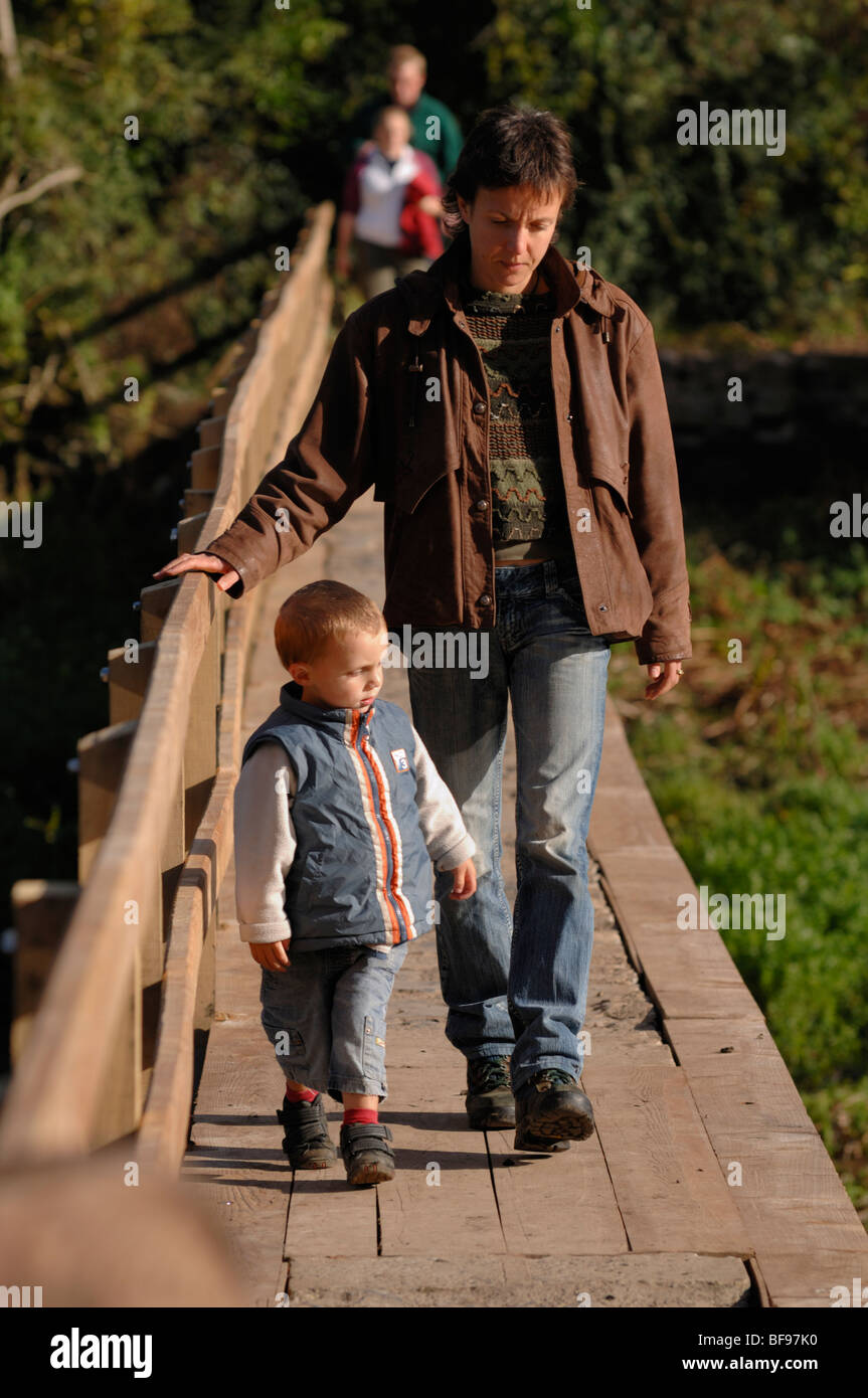 Mother and children crossing bridge, Bosherton, Lily Ponds, Pembrokeshire, Wales, UK, Europe Stock Photo