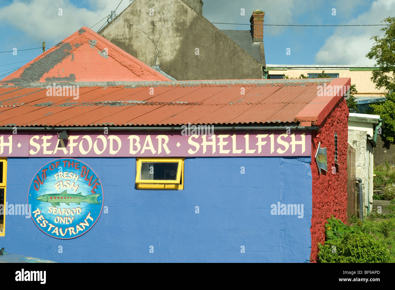 a colourful shellfish bar in Dingle, Ireland Stock Photo - Alamy