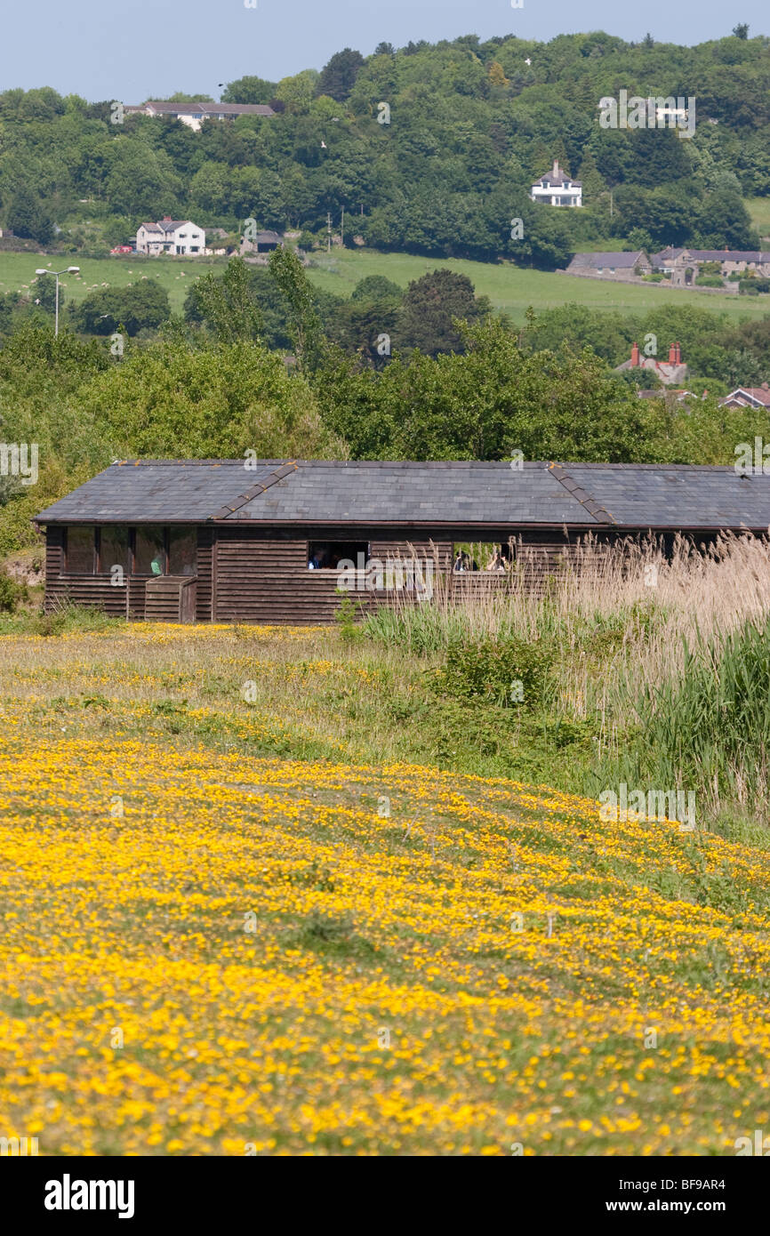 Wildlife hide Conwy RSPB reserve, Conwy, North Wales British Isles Stock Photo
