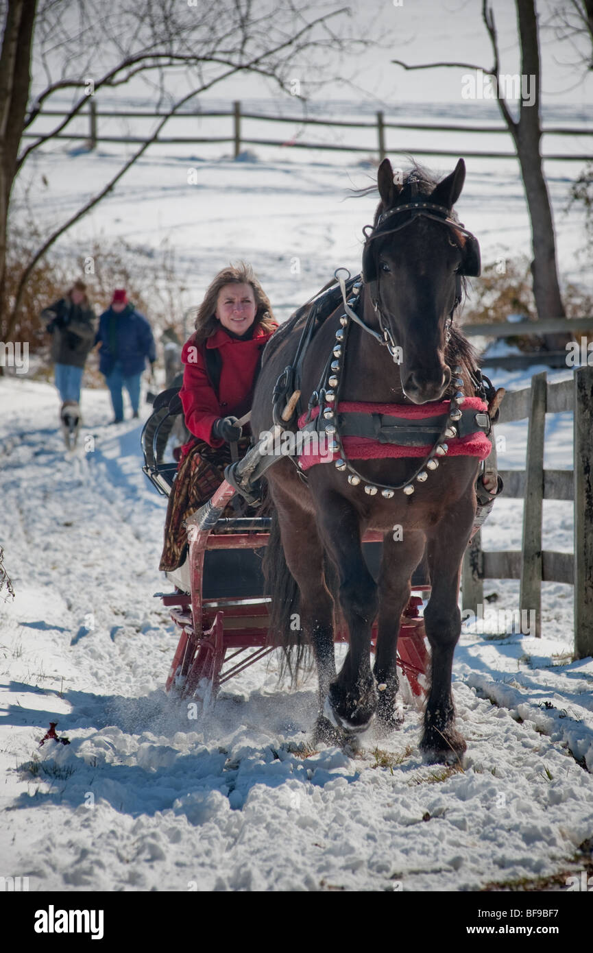 Horse drawn sleigh in snow Stock Photo
