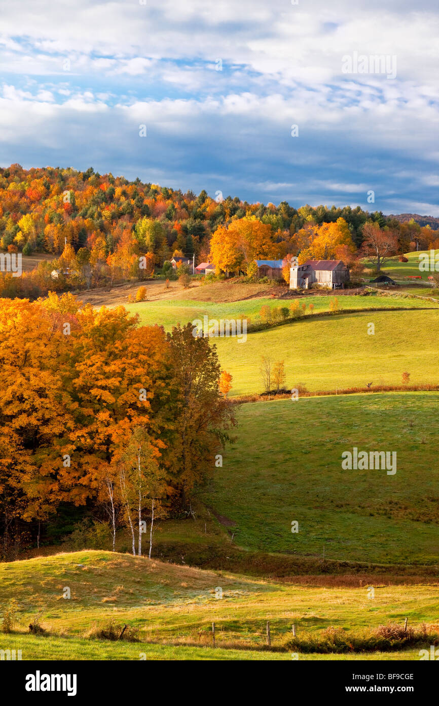 Farmland at dawn in autumn near South Woodstock Vermont USA Stock Photo