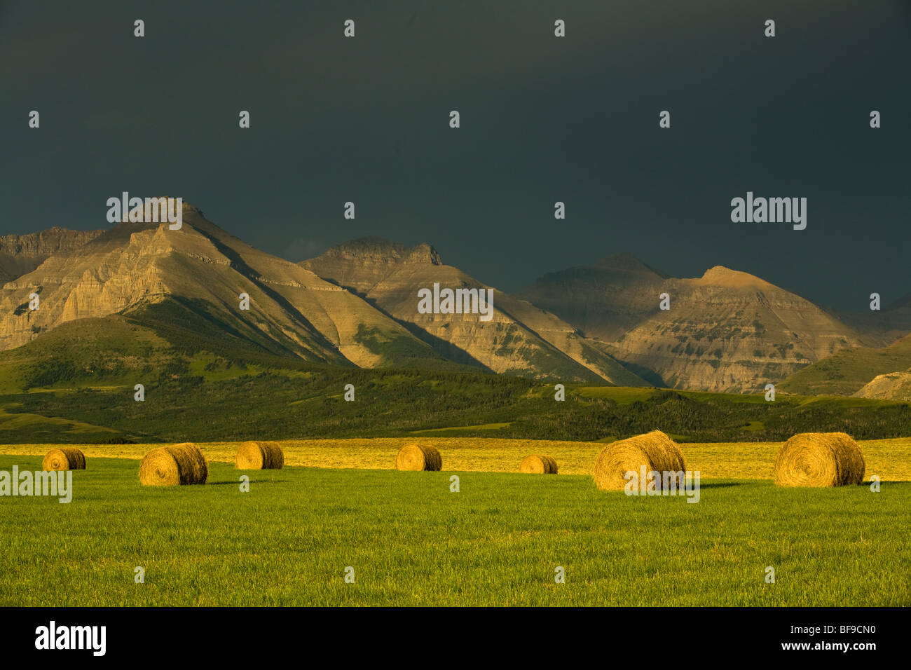 storm clouds, hay bales and mountains near Twin Butte, Alberta, Canada