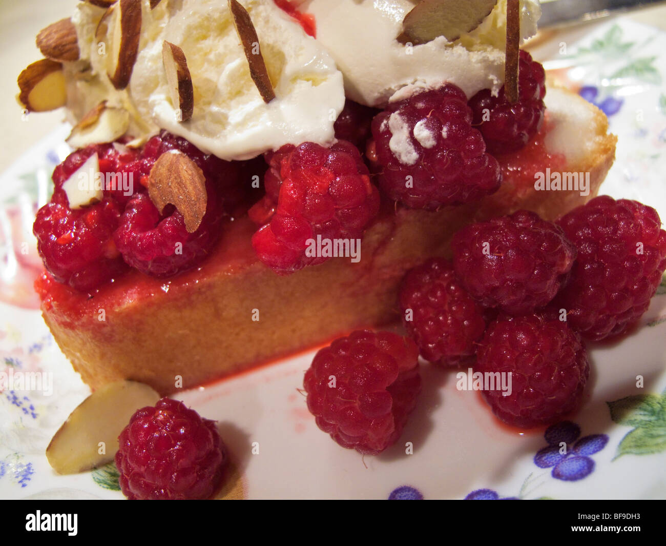 fresh raspberries on angel food cake with whipped cream and slivered