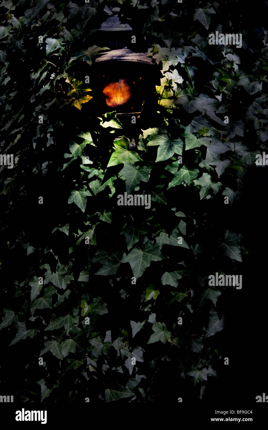 Landscape Lighting at Night Stock Photo - Alamy