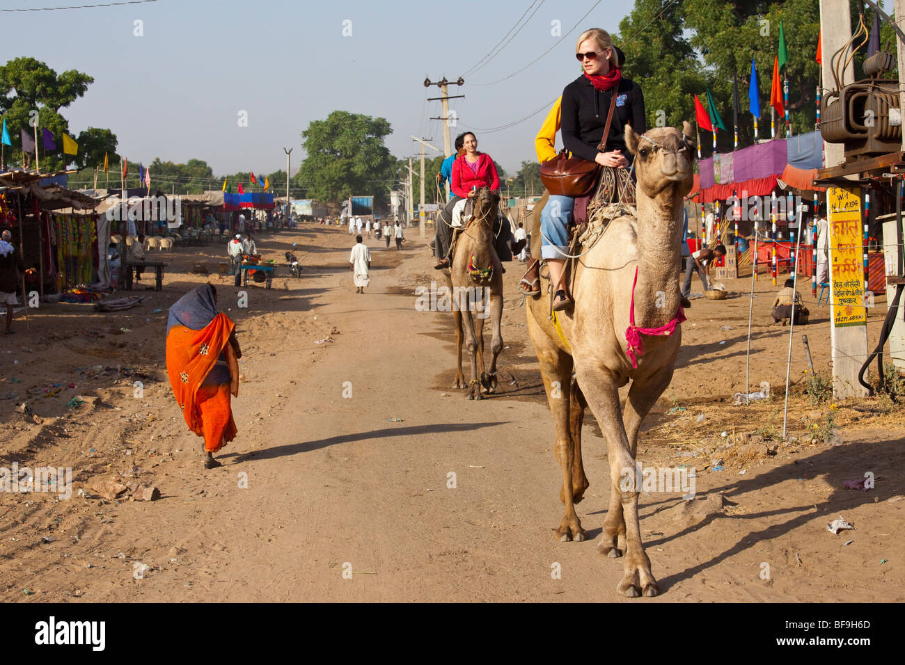Tourists riding camels at the Camel Fair in Pushkar in Rajasthan India Stock Photo