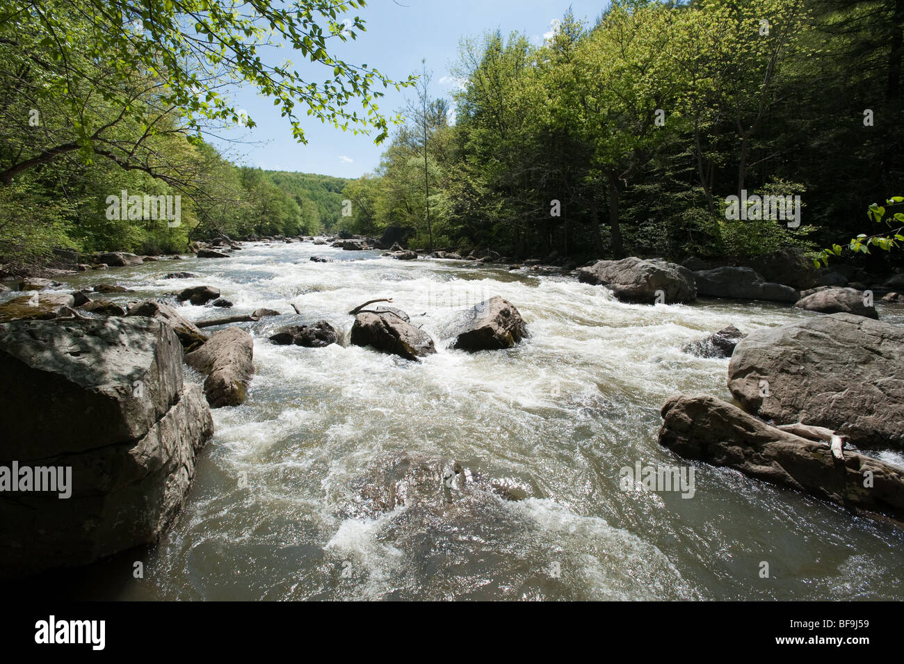 Whitewater on the Upper Youghageny River near Friendsville MD Stock Photo