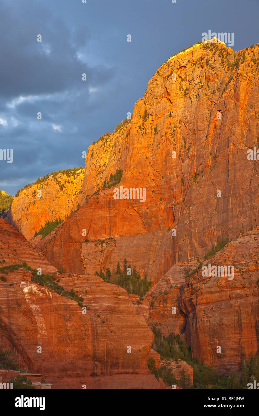 Sunset light on sandstone walls in Kolob Canyons area of Zion National Park, Utah, BEAN ALPix 0484 Stock Photo