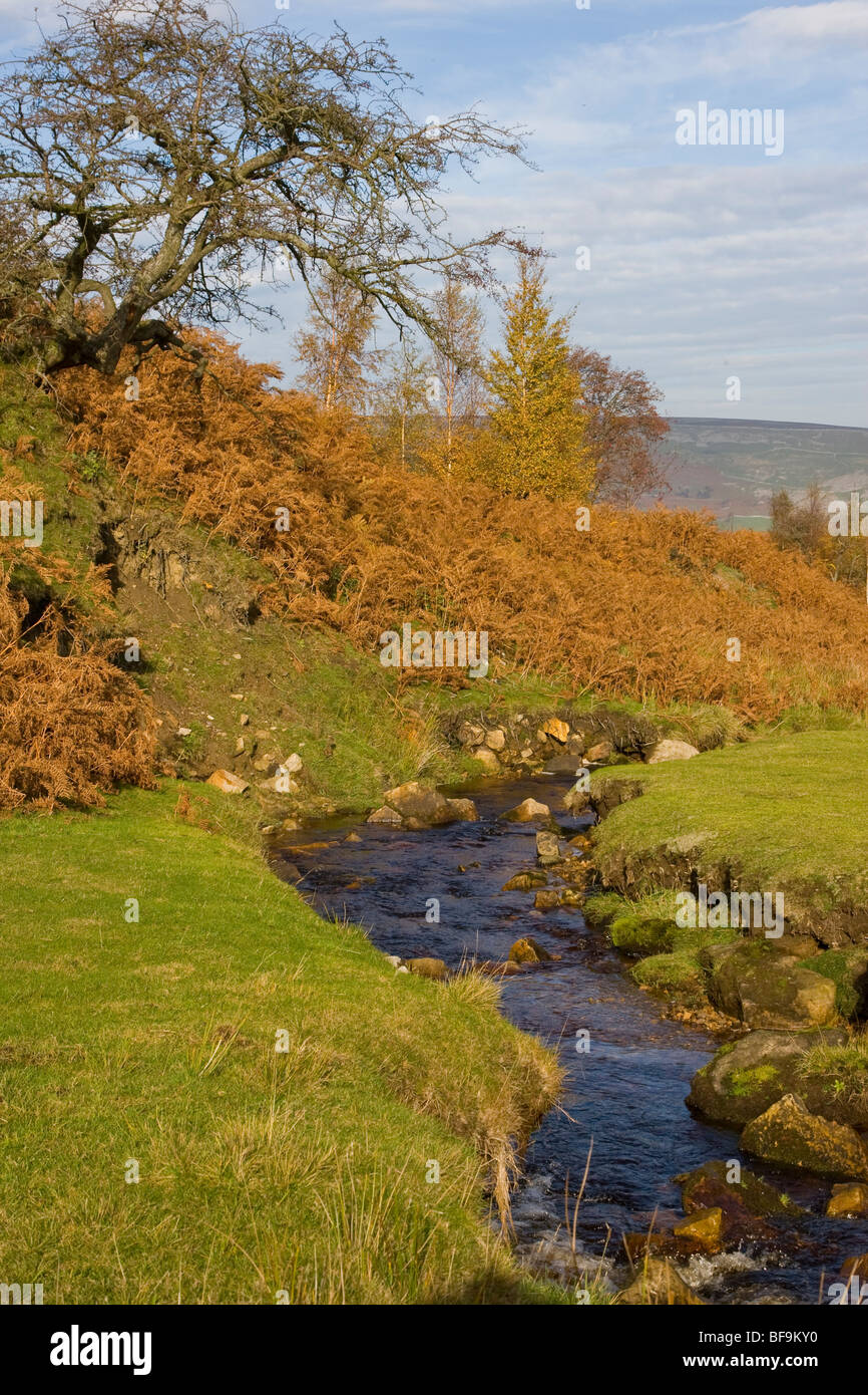 Grinton Yorkshire Stock Photos & Grinton Yorkshire Stock Images - Alamy