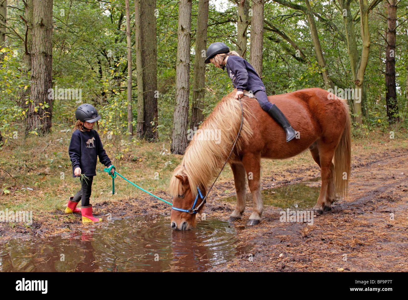 Children Wild Ricing children horseback riding in a forest Stock Photo - Alamy