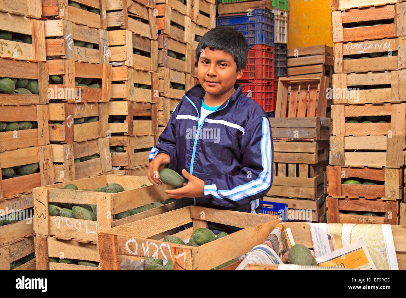 young boy working at a fruit market in Lima, Peru Stock Photo