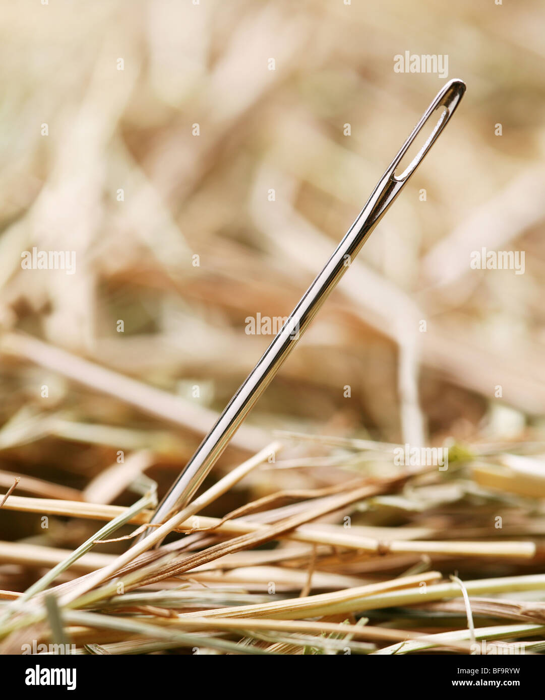 Needle is in a haystack Stock Photo