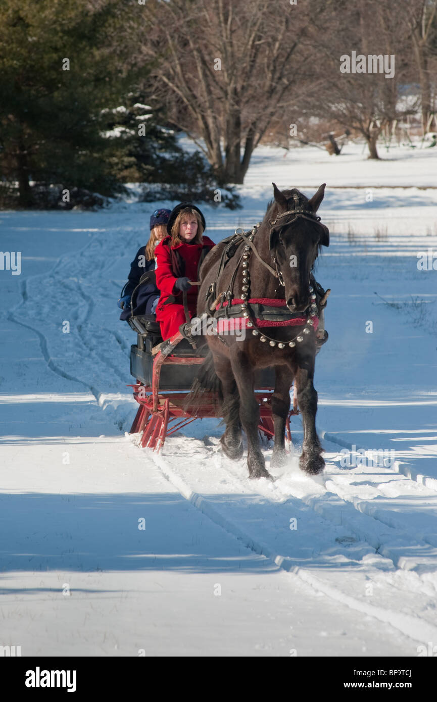 Horse drawn sleigh in snow Stock Photo