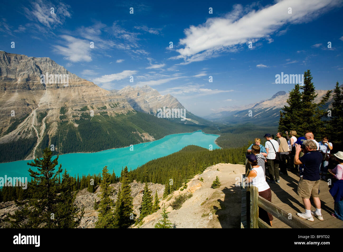 Peyto Lake viewed from the look-off, Banff National Park, Alberta ...