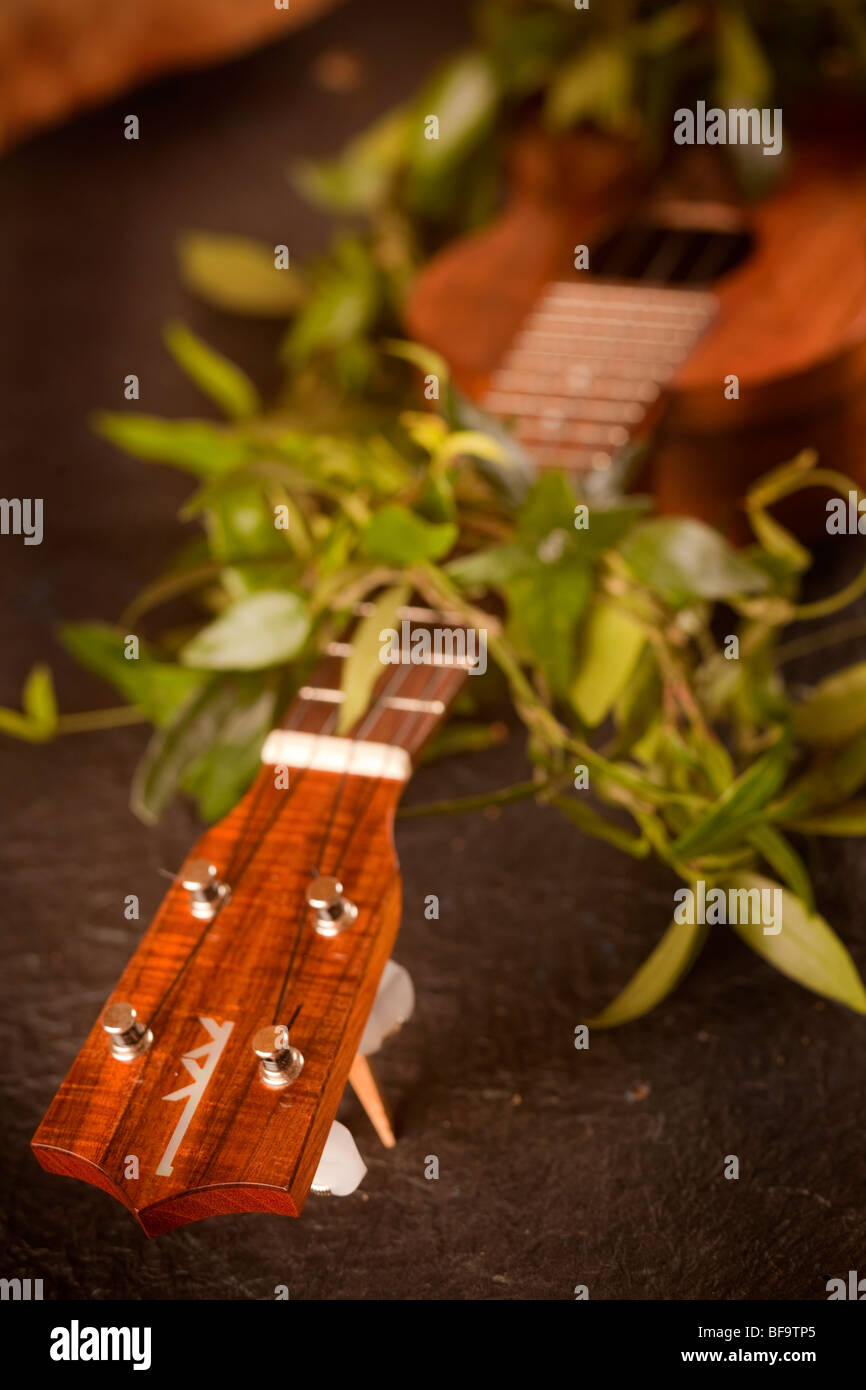 Koa ukulele, Hawaii Stock Photo Alamy