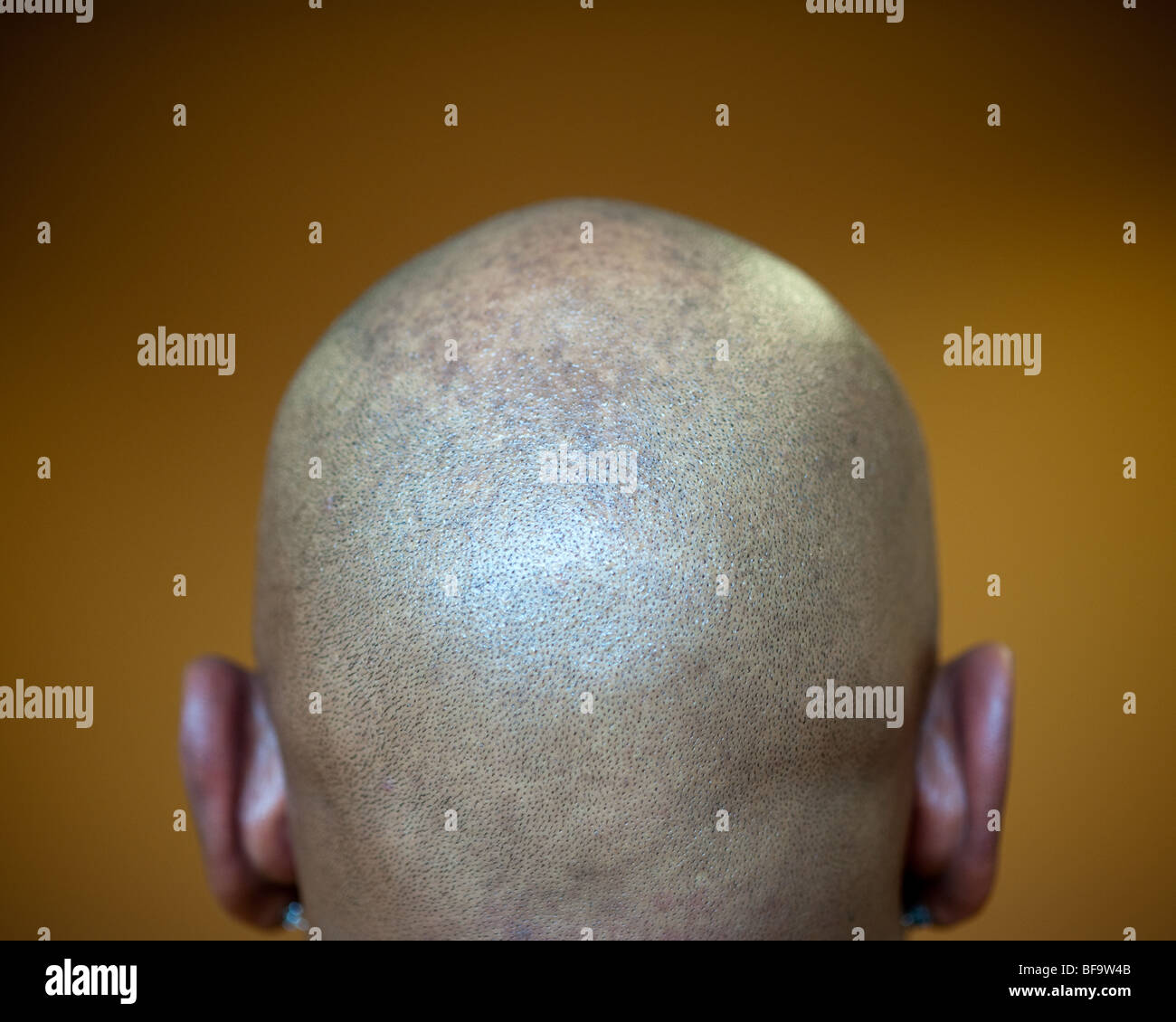 Bald or shaved head hi-res stock photography and images - Alamy