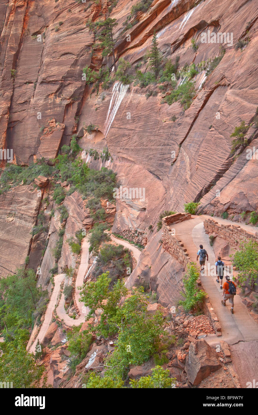 Hikers climb switchbacks on West Rim Trail to Angels Landing Route at Zion National Park, Utah, USA Stock Photo