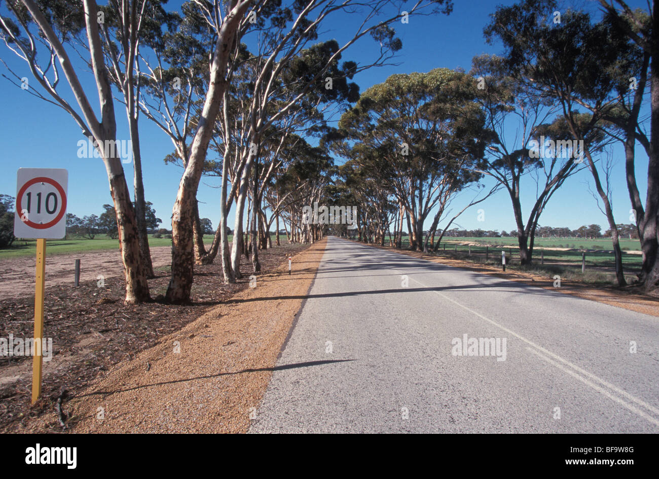 Highway South to Mt Barker Wagin Western Australia Australia Stock