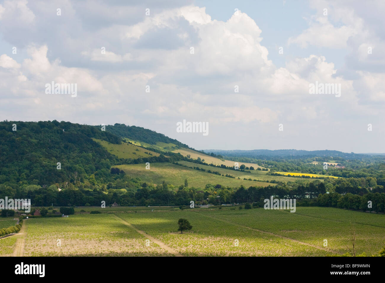 Box Hill and North Downs seen from Ranmore, near Dorking. Stock Photo