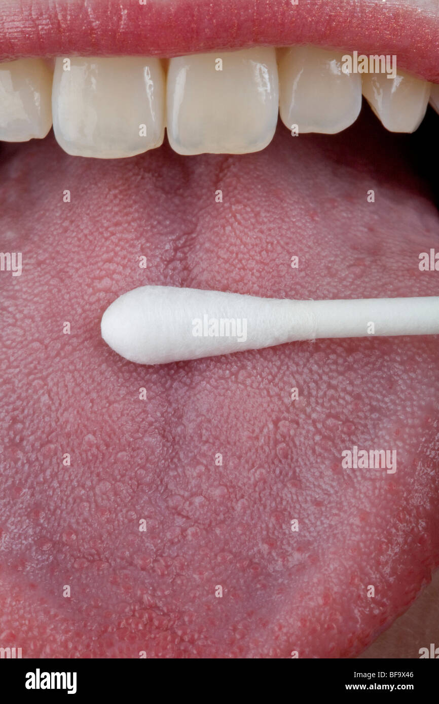 A human tongue with cotton swab Stock Photo Alamy