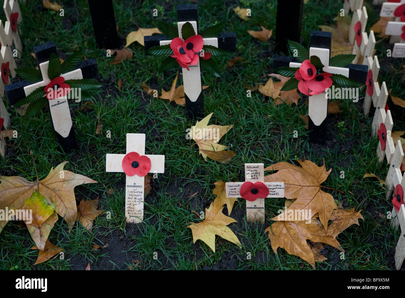 Crosses with poppies in the Garden of Remembrance at Westminster Abbey Stock Photo