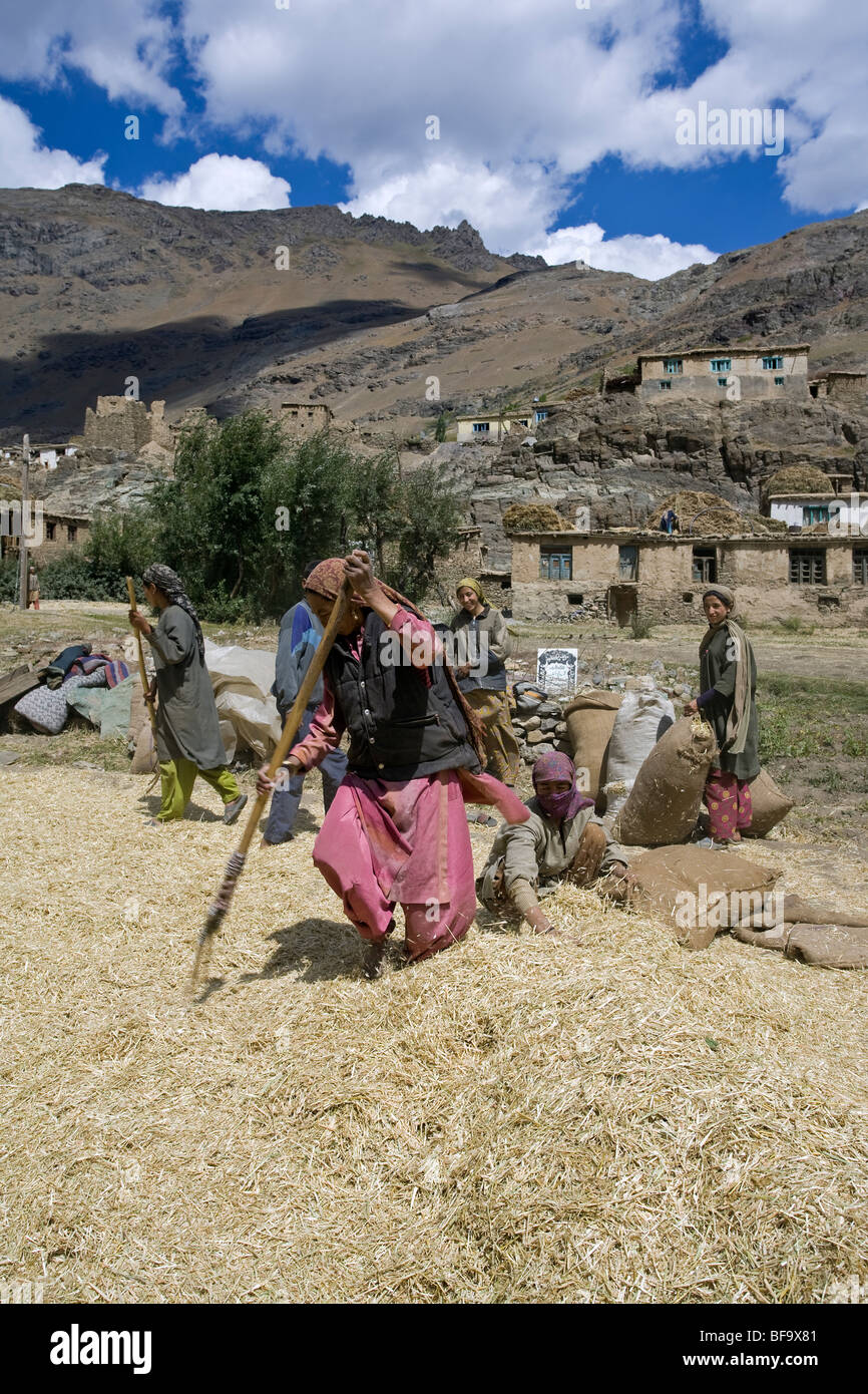 Kashmir community hi-res stock photography and images - Alamy
