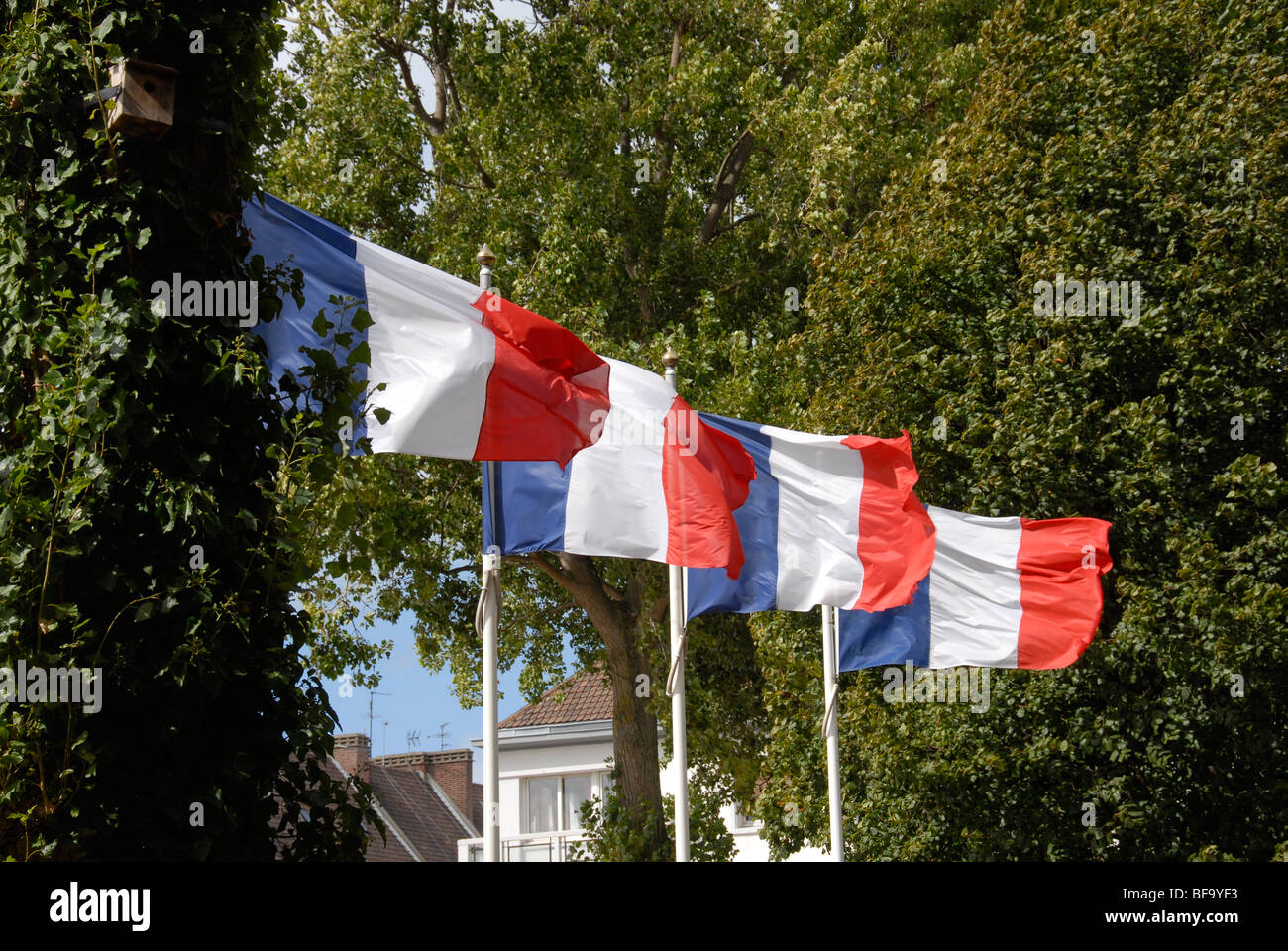 Four French flags flying in the breeze Stock Photo