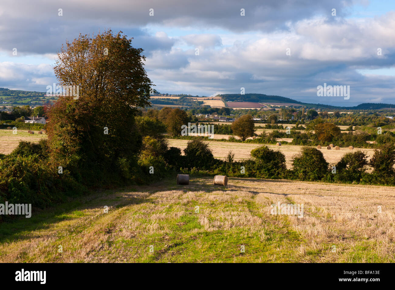farmland in September in Co.Cork, Republic Of Ireland Stock Photo