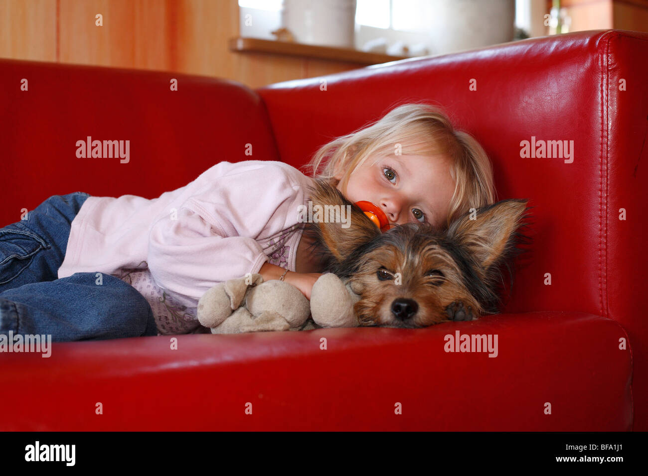 mixed breed dog (Canis lupus f. familiaris), little girl cuddeling with her terrier mix on the sofa Stock Photo