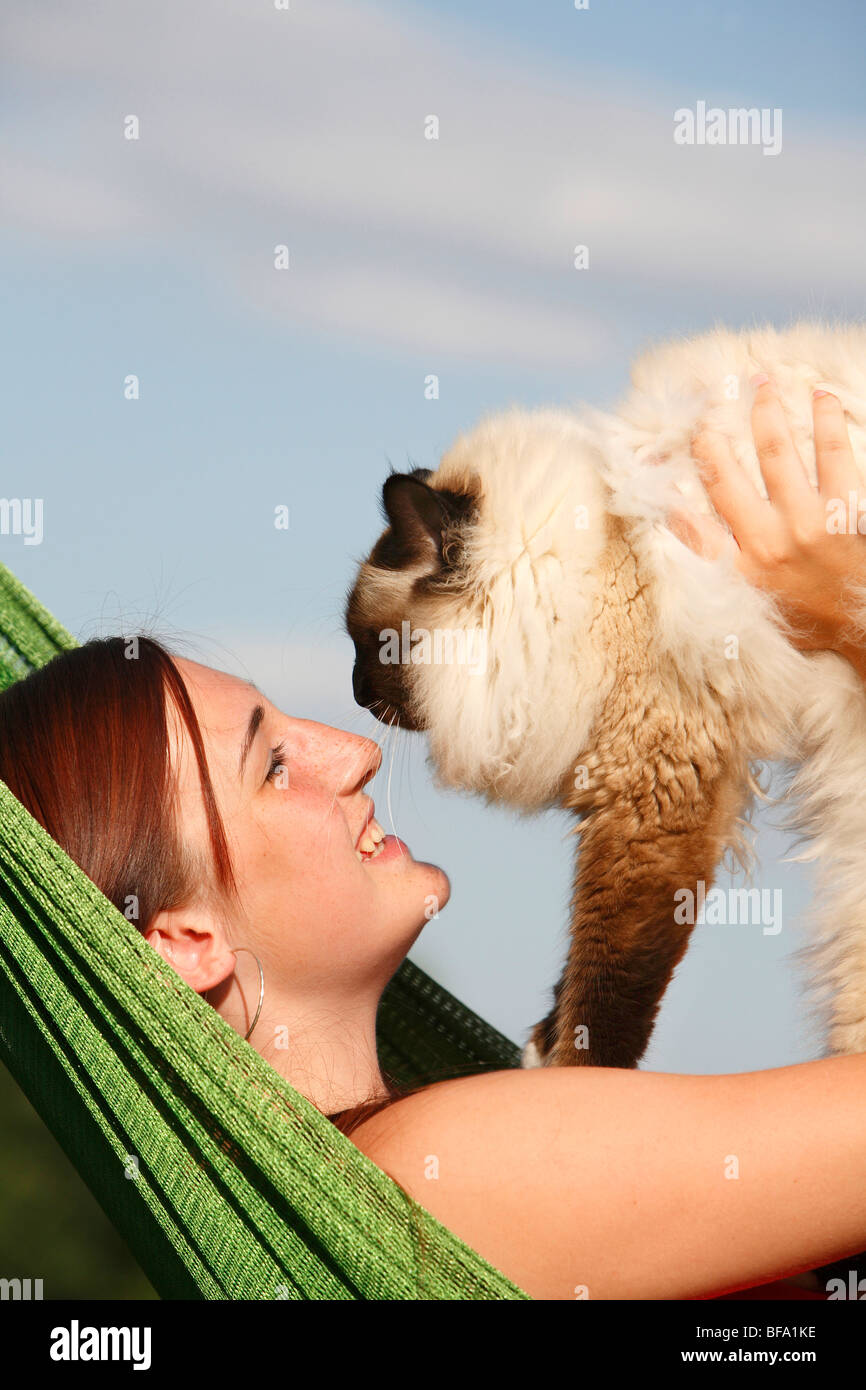 Sacred Cat of Birma, Birman (Felis silvestris f. catus), young woman lying in a hammock holding a male cat into the air with a Stock Photo