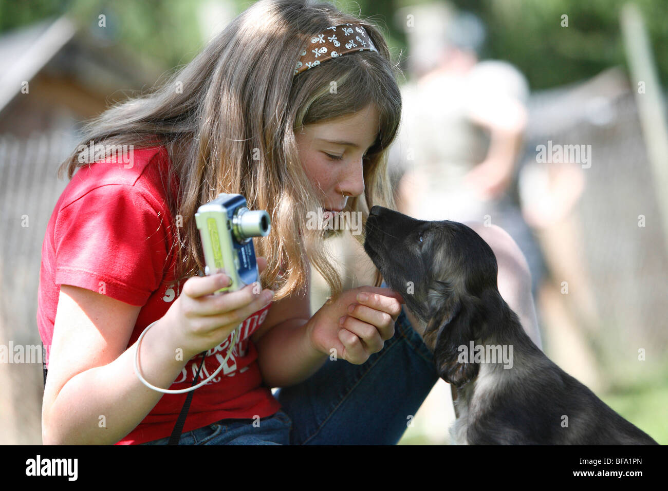 Afghanistan Hound, Afghan Hound (Canis lupus f. familiaris), girl smootching with her dog, Germany Stock Photo