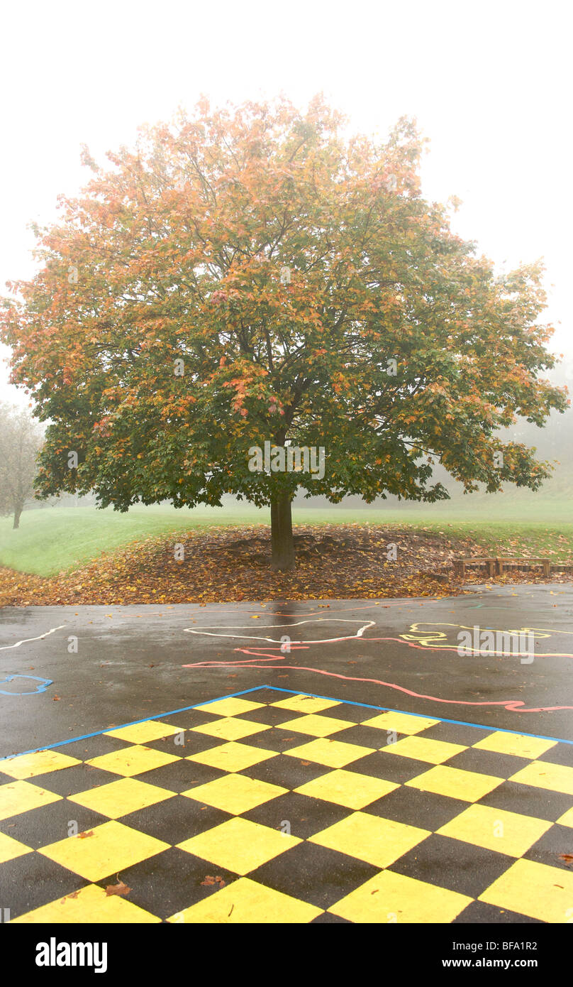Autumn tree and giant chess board in mist Stock Photo