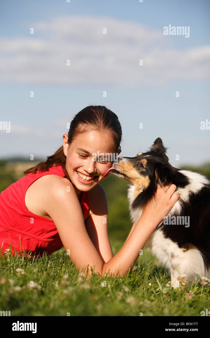 Shetland Sheepdog (Canis lupus f. familiaris), licking a girl at her cheek, Germany Stock Photo