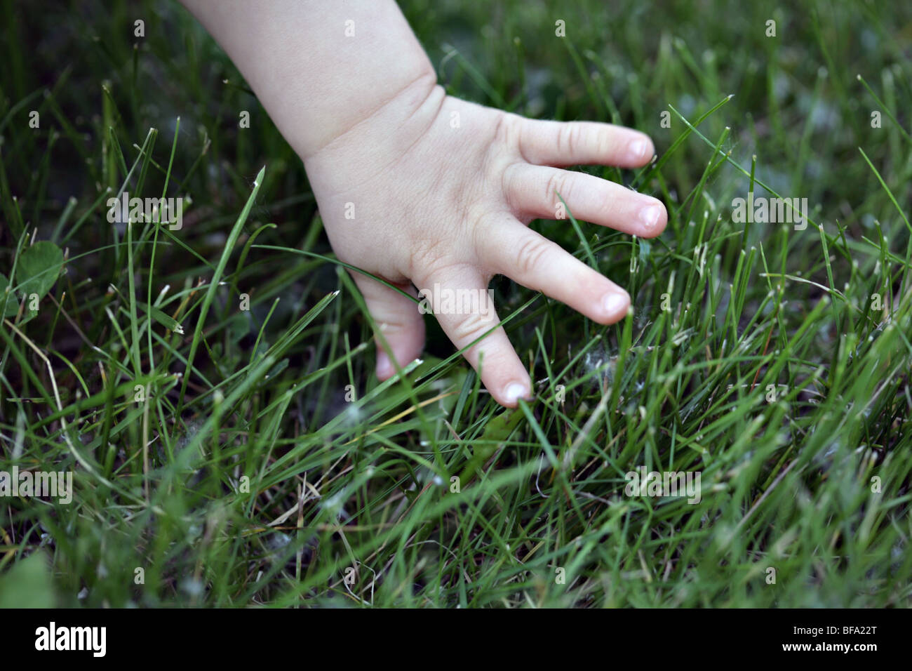 Baby's hand feeling the texture of the green grass Stock Photo Alamy