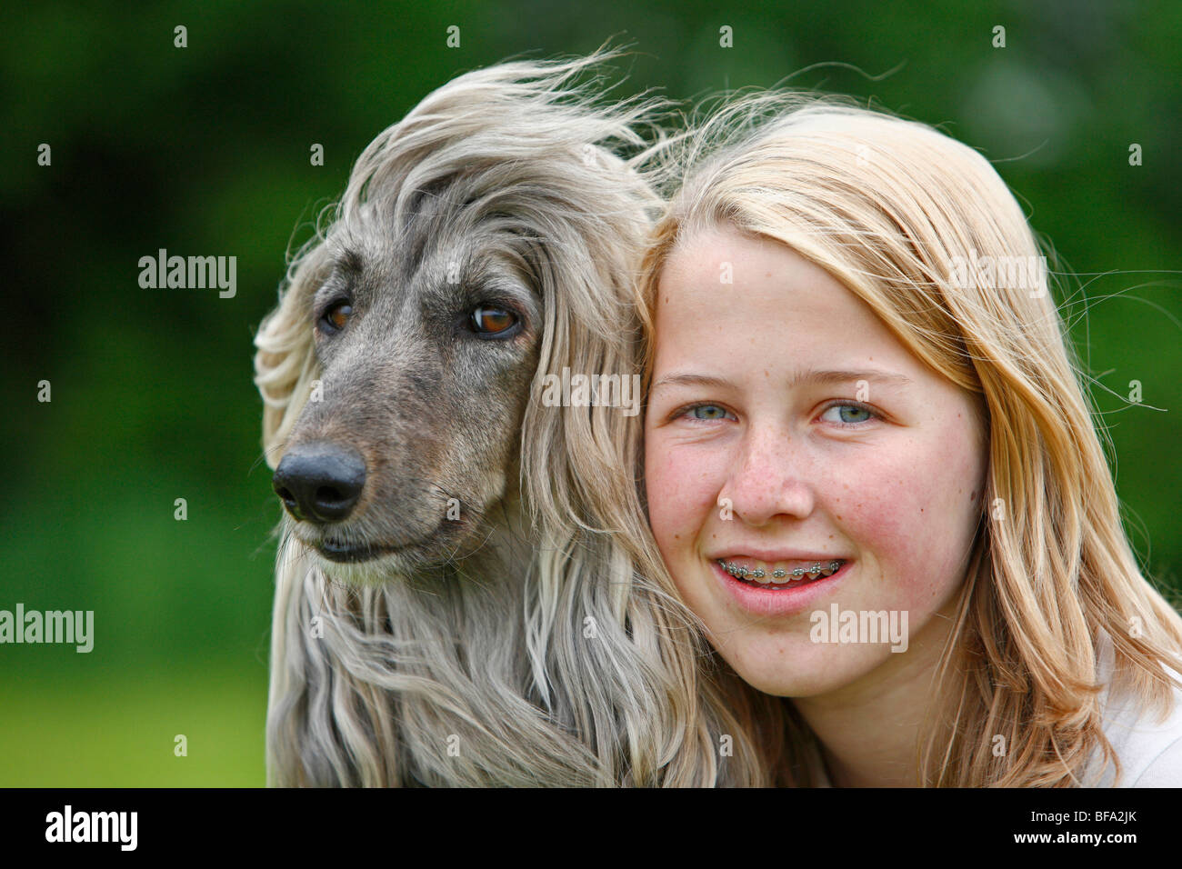 Afghanistan Hound, Afghan Hound (Canis lupus f. familiaris), girl leaning her head against that of a dog Stock Photo