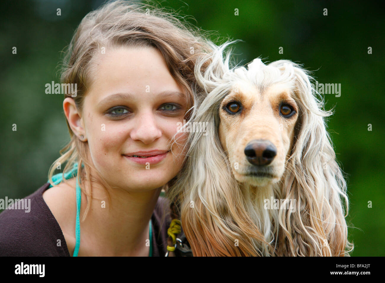 Afghanistan Hound, Afghan Hound (Canis lupus f. familiaris), girl embracing a dog Stock Photo