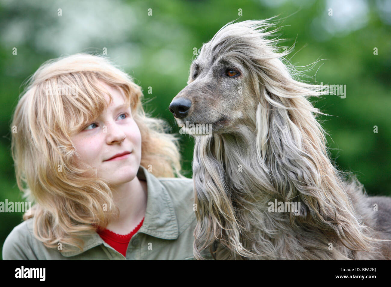 Afghanistan Hound, Afghan Hound (Canis lupus f. familiaris), girl with his dog, their long hair blowing in the wind Stock Photo