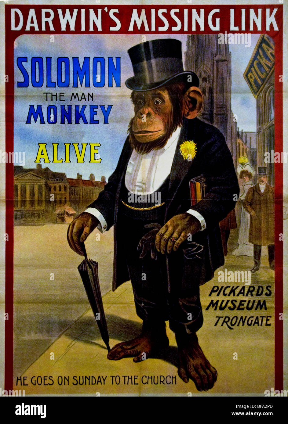 Charles Robert Darwin Darwin's Missing Link Solomon the Man Monkey Stock  Photo - Alamy