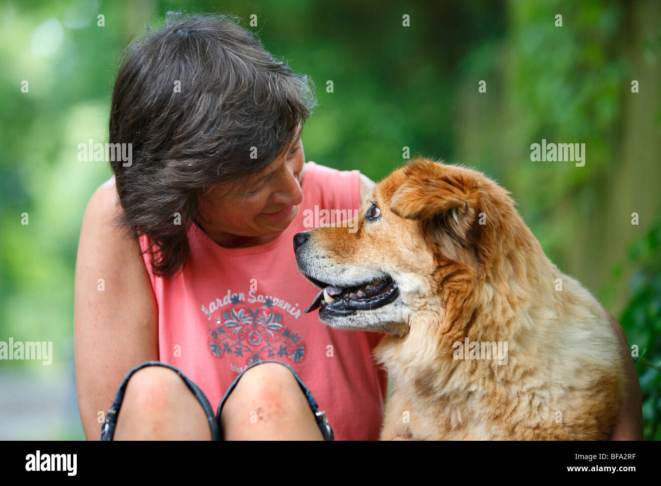 mixed breed dog (Canis lupus f. familiaris), 15 years old Chow-Chow-mix looking in the eyes of her mistress, Germany Stock Photo