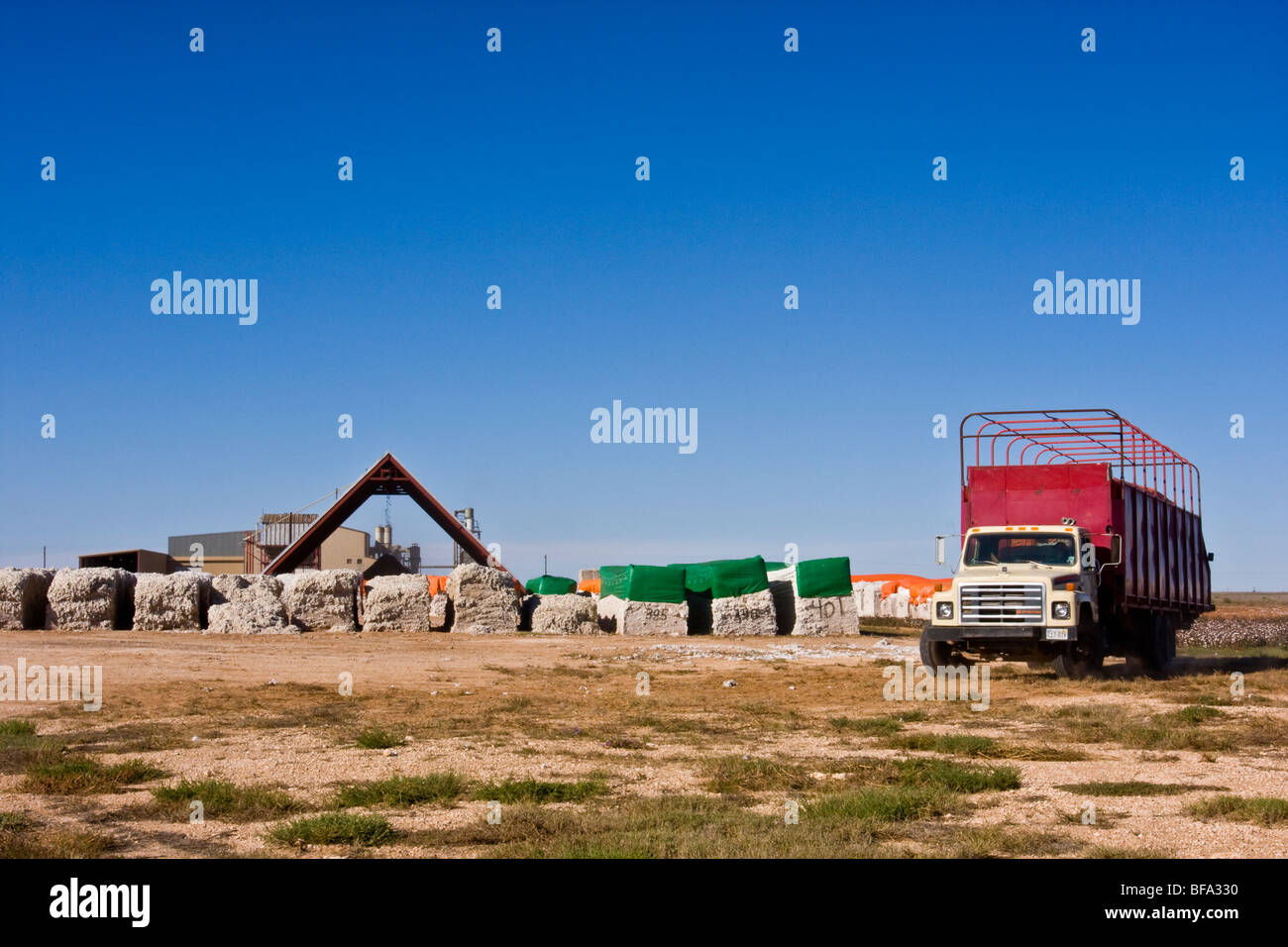 Cotton modules with multcolored tarp is moved with a module truck to the processing area at a cotton gin in Lamesa, Texas,U.S.A. Stock Photo