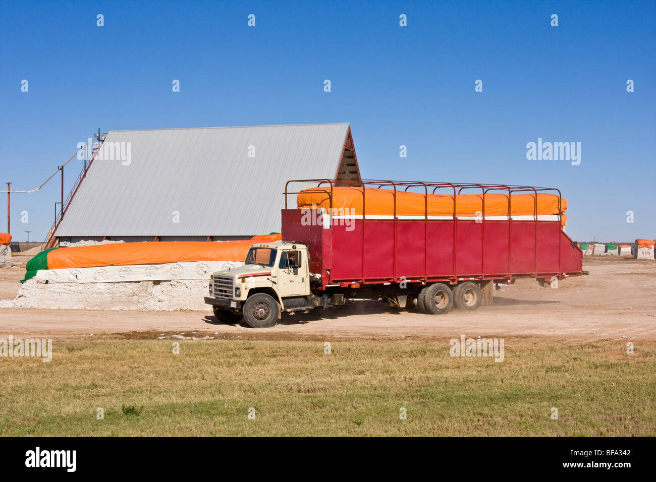 Cotton module with red colored tarp is moved with a module truck to the processing area at a cotton gin in Lamesa, Texas,U.S.A. Stock Photo