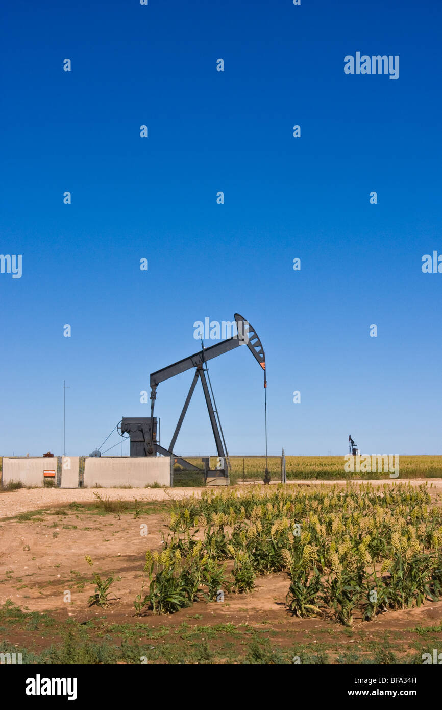 Oil pumping rig located in a milo maize field in the Texas Panhandle. Stock Photo
