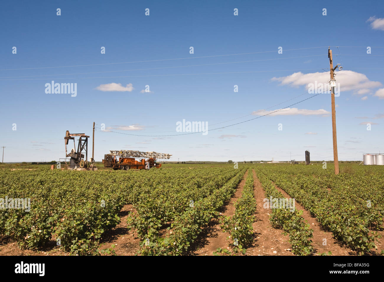 Oil well pump with oil  service truck in a cotton field in the Texas Panhandle. Stock Photo
