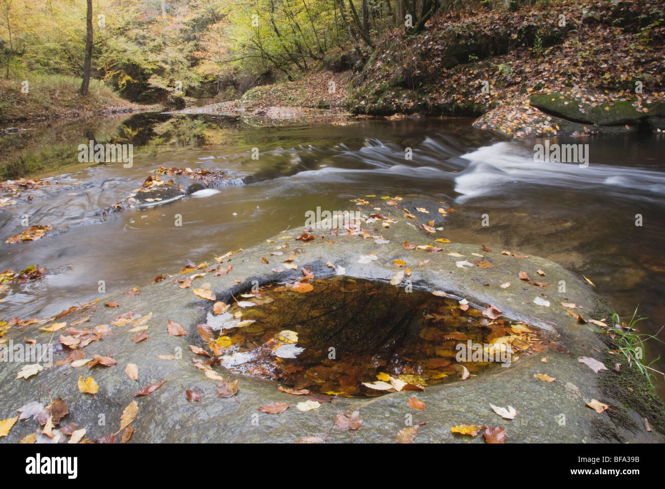 Fall leaves on rock and stream, Raven Rock State Park, Lillington, North Carolina, USA Stock Photo