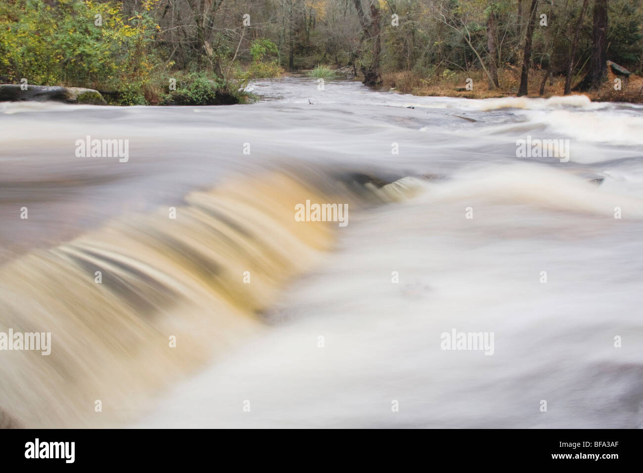Little River flowing through Rolesville Millpond Natural Area
