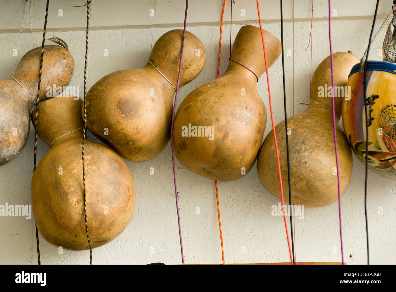 Gourd Cabasa gourd-cabasa