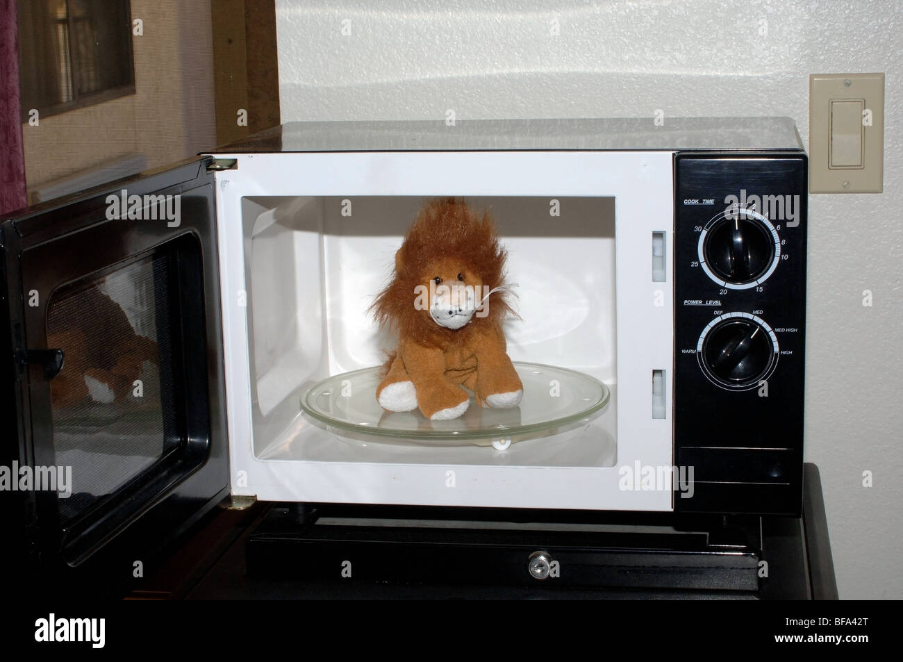 stuffed animal in a hotel microwave Stock Photo Alamy