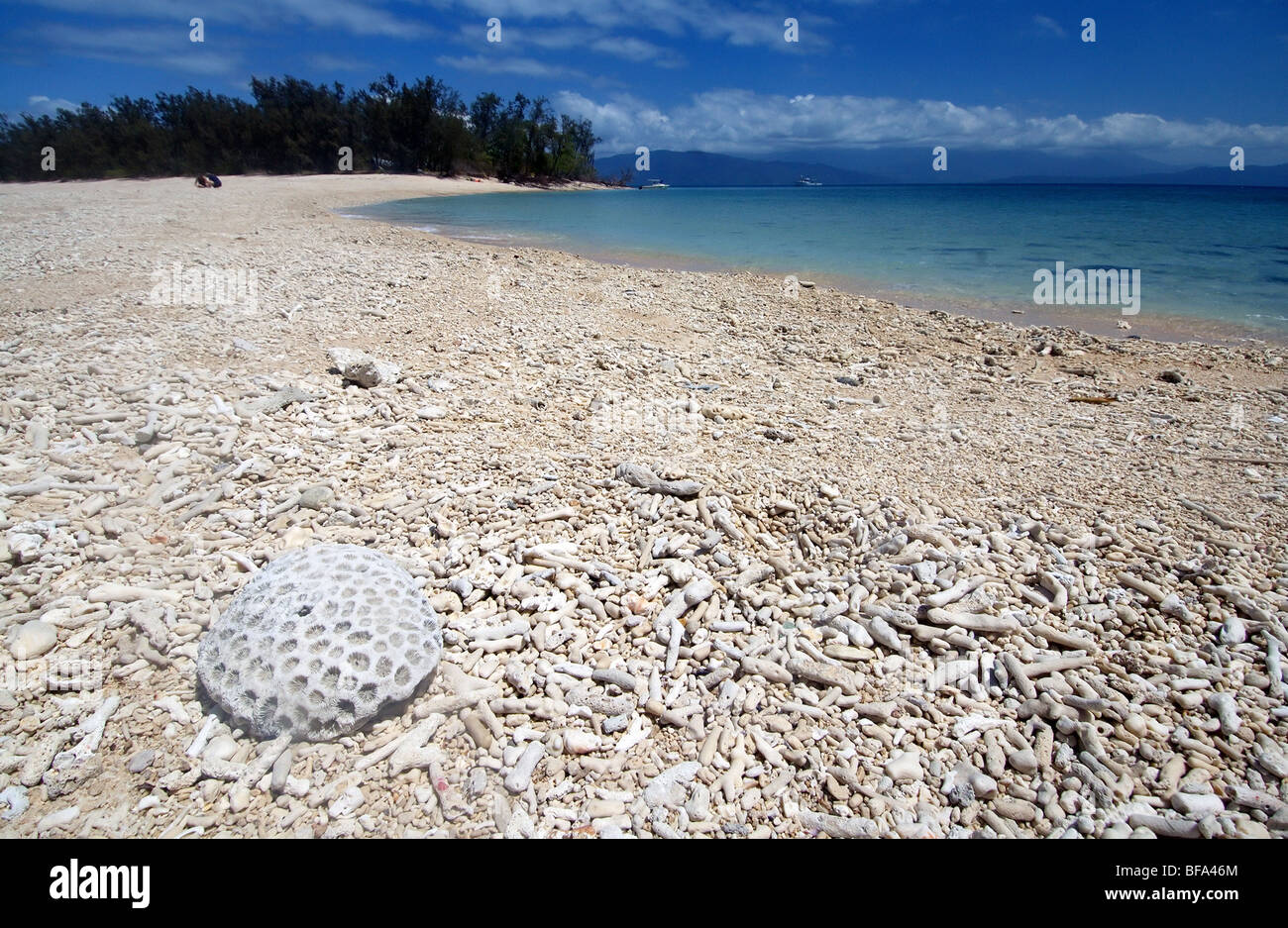 Coral rubble beach on Russell Island, Frankland Islands National Park, Great Barrier Reef Marine Park, Queensland, Australia Stock Photo