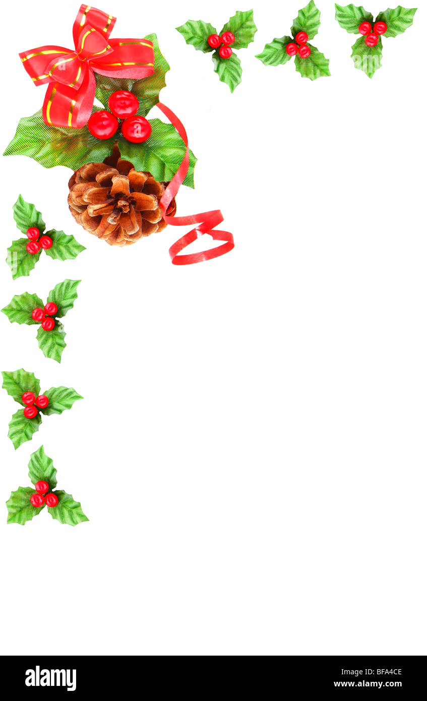 Holly berry and pine cone as Christmas border isolated on white Stock ...