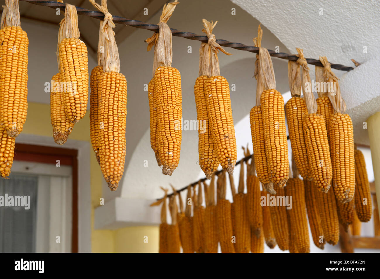 Corn drying outside a farm house at Morbish - am - see, Neusiedler See, Austria Stock Photo